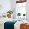Đặt cây xanh trong phòng ngủ tốt hay xấu